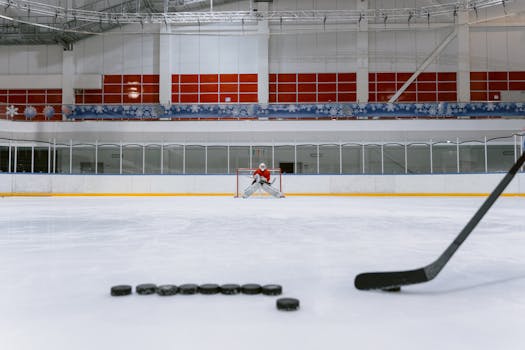 legendary NHL goalie in action