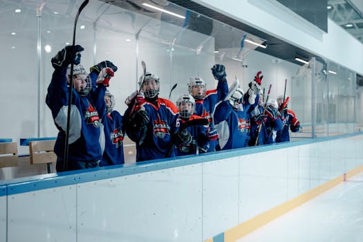 Hockey fans celebrating the victory