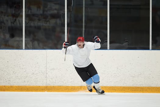 hockey fans enjoying a game